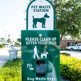 Dog waste station painted green